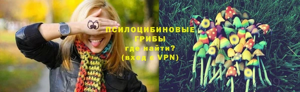 мяу мяу мука Аркадак